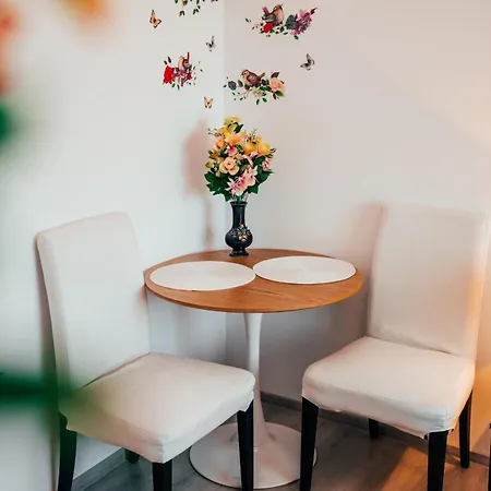 Casa David - Near - Coresi Plaza -cozy And Flats #brasov Apartmán Brašov