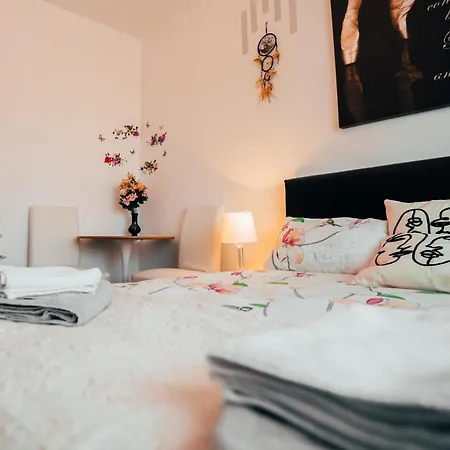 Casa David - Near - Coresi Plaza -cozy And Flats #brasov