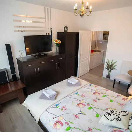 Casa David - Near - Coresi Plaza -cozy And Flats #brasov Apartment *