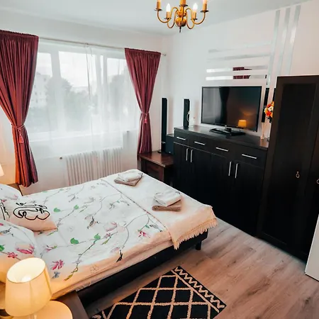 Apartment Casa David - Near - Coresi Plaza -cozy And Flats #brasov Brasov