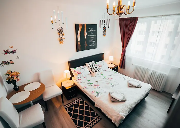 Casa David - Near - Coresi Plaza -cozy And Flats #brasov